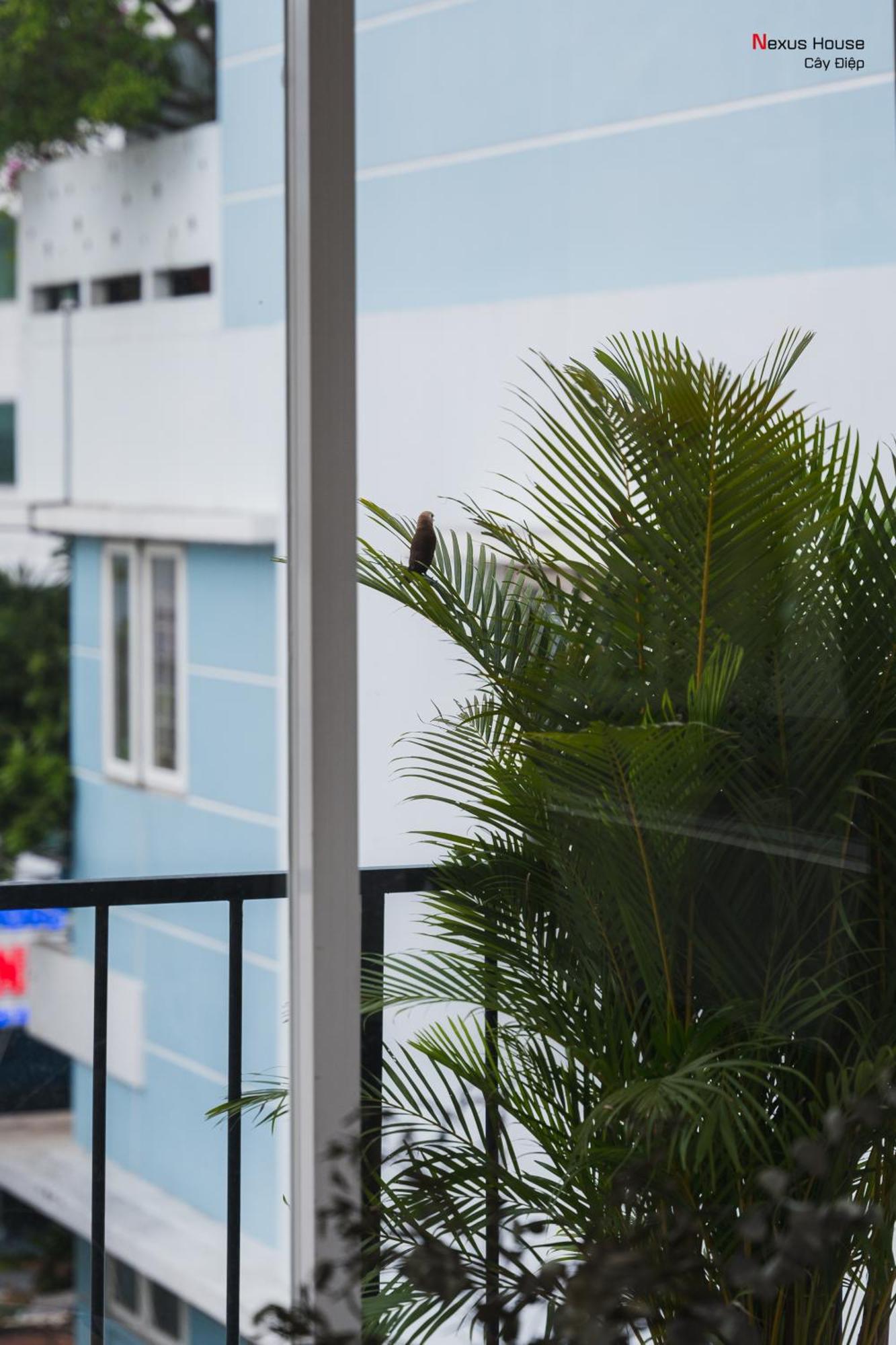Nexus House Cay Diep 胡志明市 外观 照片